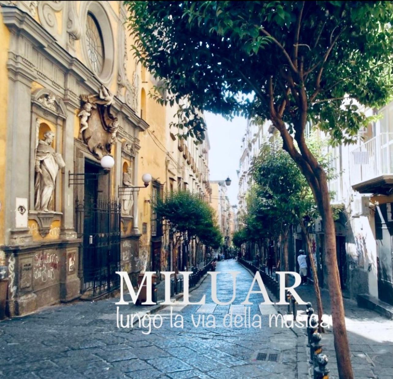那不勒斯Miluar - Centro Storico - Lungo La Via Della Musica住宿加早餐旅馆 外观 照片